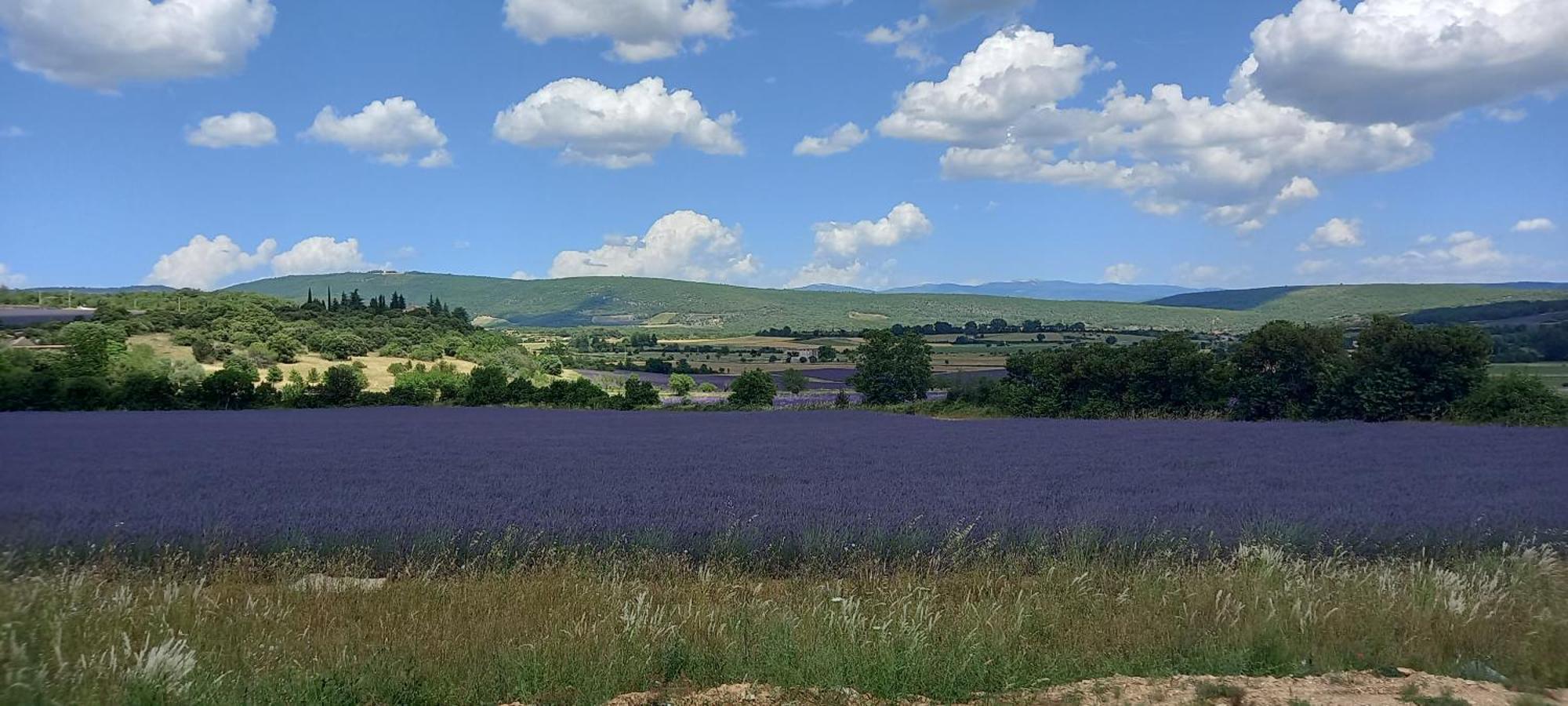 Gite La Mosaique Dauphin Екстер'єр фото